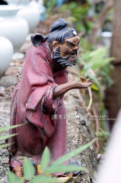 DSC04982拷貝.jpg DSC04982拷貝.jpg