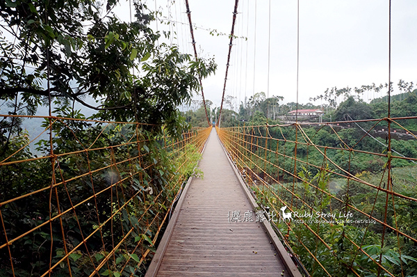 DSC07728鵲橋.jpg DSC07728鵲橋.jpg