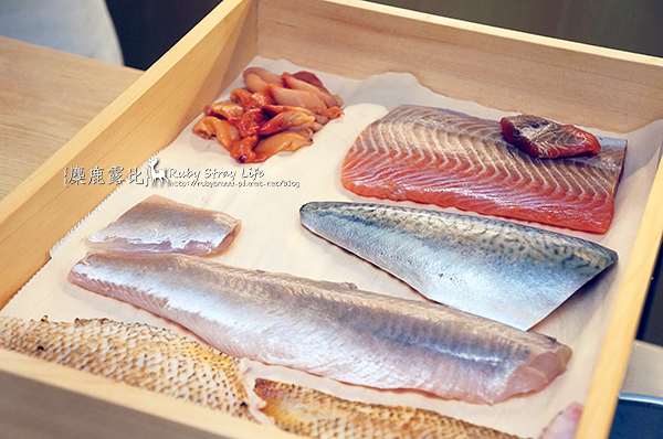 DSC04364右至左日本櫻鱒(野生鮭魚)、赤貝、鯖魚、花魚、野生赤鮭(紅喉).jpg DSC04364右至左日本櫻鱒(野生鮭魚)、赤貝、鯖魚、花魚、野生赤鮭(紅喉).jpg