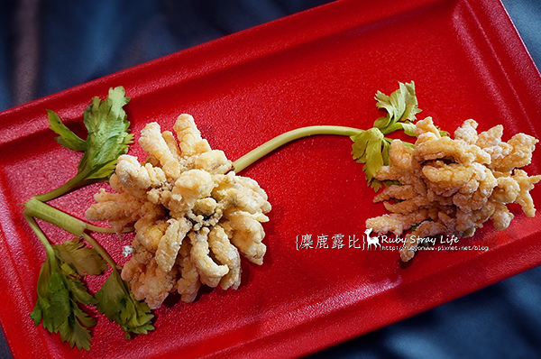 DSC05283邵力子菊花魚球.jpg