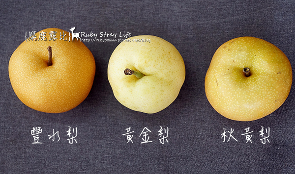 DSC05620拷貝.jpg DSC05620拷貝.jpg