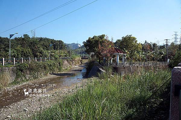 DSC04890.jpg DSC04890.jpg