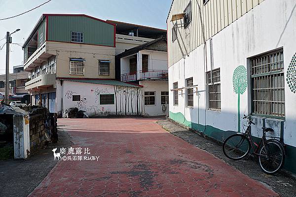 DSC05016.jpg DSC05016.jpg