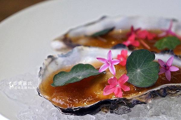 DSC07027.jpg DSC07027.jpg