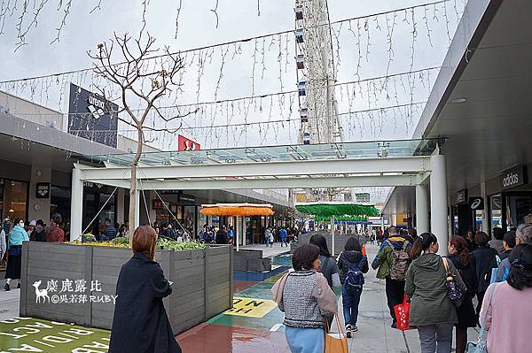 DSC07684.jpg DSC07684.jpg