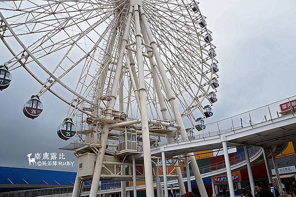 DSC07799.jpg DSC07799.jpg