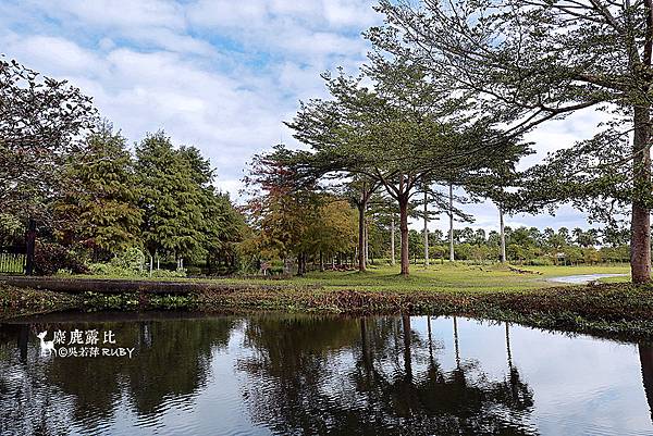 IMGL2036.jpg IMGL2036.jpg