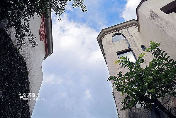 IMGL2135.jpg IMGL2135.jpg