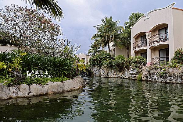 IMGL2211.jpg IMGL2211.jpg