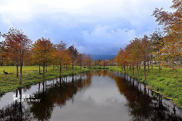 IMGL2238-1.jpg IMGL2238-1.jpg