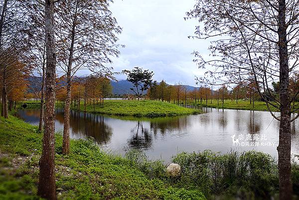 IMGL2242-1.jpg IMGL2242-1.jpg