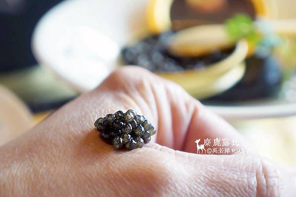 DSC08284.jpg DSC08284.jpg