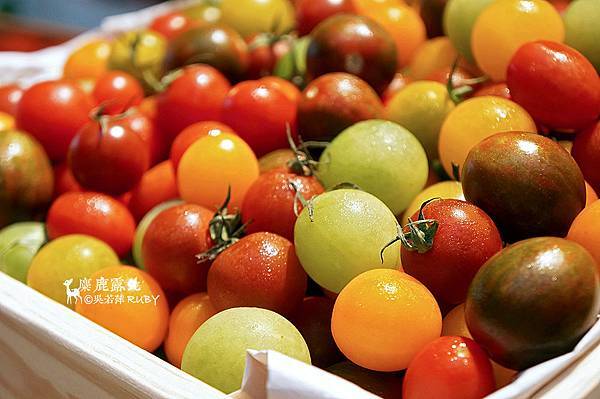 DSC08423.jpg DSC08423.jpg