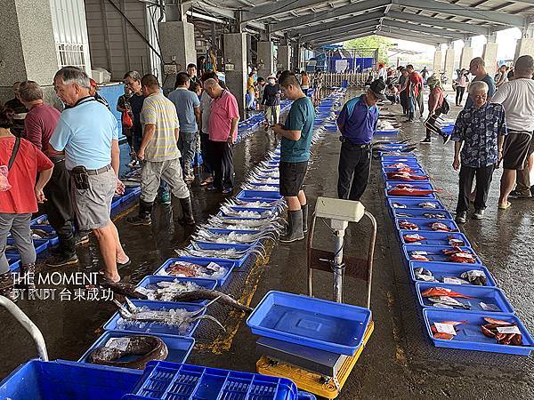 IMG_8722.jpg IMG_8722.jpg