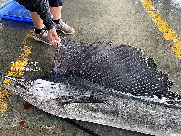 IMG_8750.jpg IMG_8750.jpg