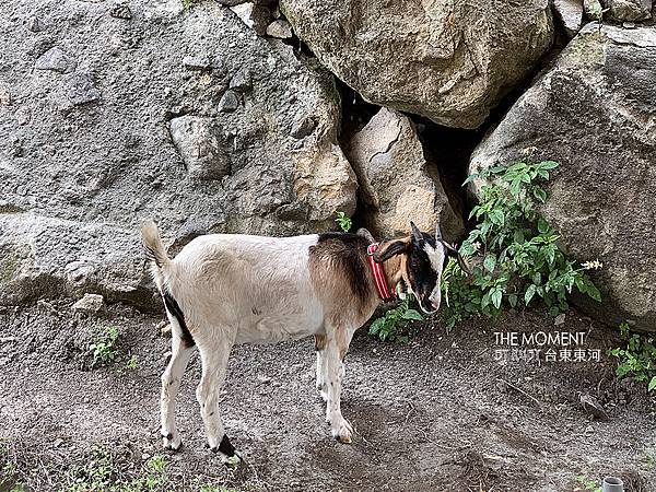 IMG_9073.jpg IMG_9073.jpg