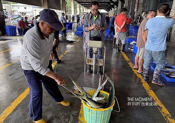 IMG_8717.jpg IMG_8717.jpg