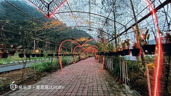 Photo_1642673571111.jpg Photo_1642673571111.jpg