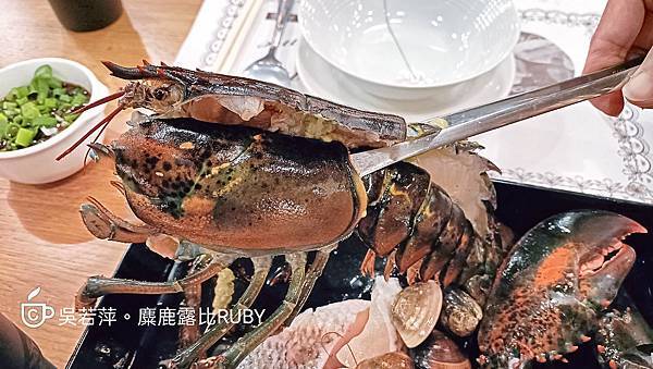 Photo_1642673840213.jpg Photo_1642673840213.jpg