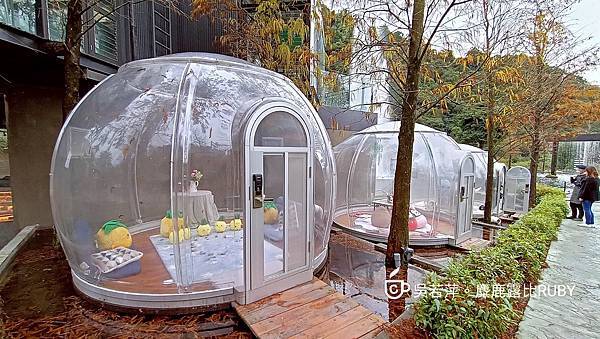 Photo_1642674255147.jpg Photo_1642674255147.jpg