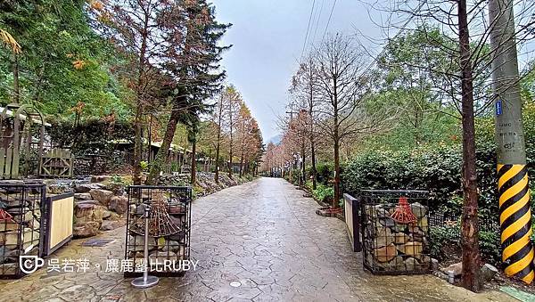 Photo_1642674386018.jpg Photo_1642674386018.jpg