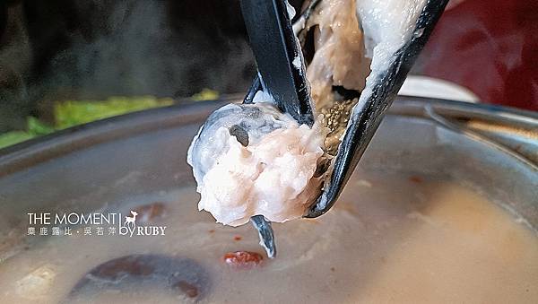 IMG20220529184459.jpg IMG20220529184459.jpg