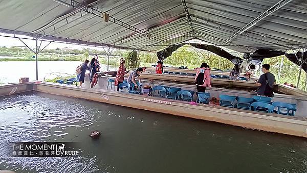 IMG20221014101751.jpg IMG20221014101751.jpg