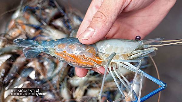 IMG20221014113121.jpg IMG20221014113121.jpg