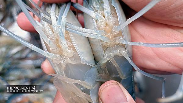 IMG20221014113232.jpg IMG20221014113232.jpg