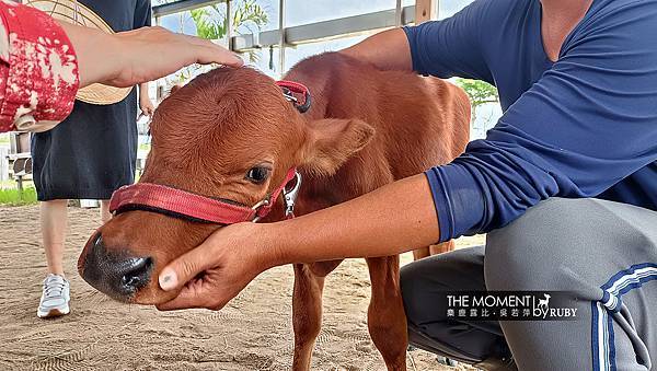 IMG20221014133337.jpg IMG20221014133337.jpg