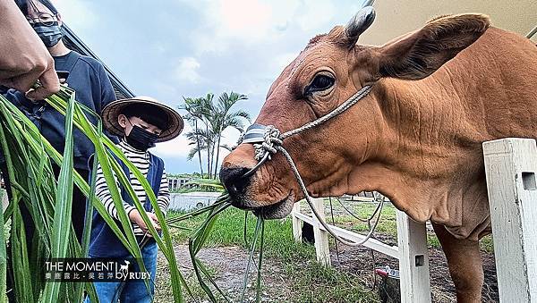 IMG20221014132535.jpg IMG20221014132535.jpg