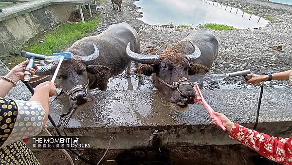 IMG20221014133902.jpg IMG20221014133902.jpg