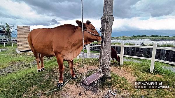 IMG20221014134835.jpg IMG20221014134835.jpg