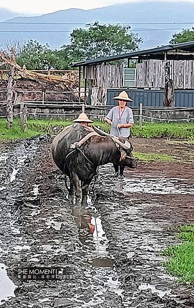 IMG20221014141053.jpg IMG20221014141053.jpg