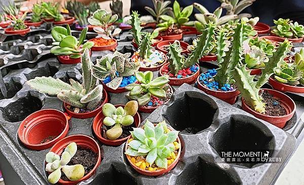 IMG20221014144236.jpg IMG20221014144236.jpg