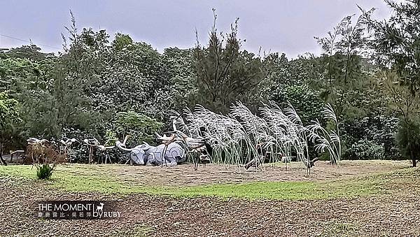 IMG20221014161308.jpg IMG20221014161308.jpg