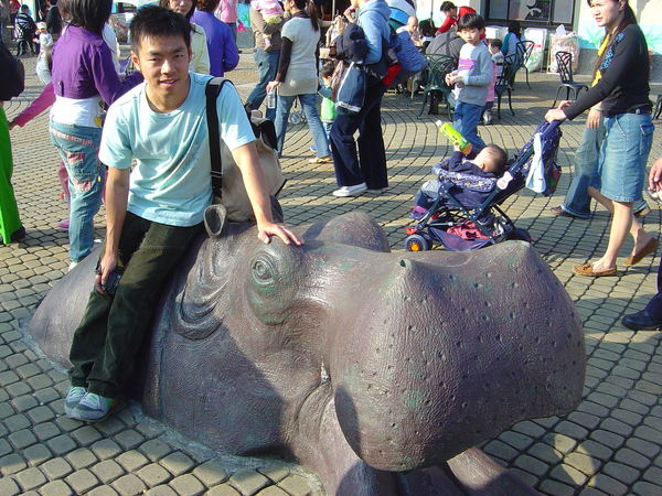 Felix and Hippo