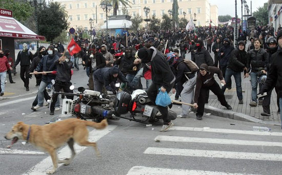 希臘暴動犬 Riot-dog-15.jpg