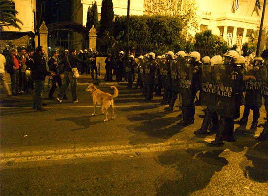 希臘暴動犬 Riot-dog-33.jpg