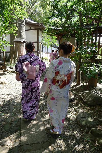 P1120221.JPG P1120221.JPG