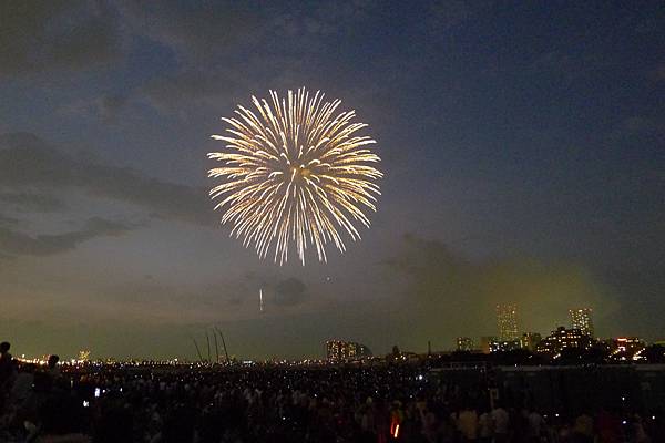 P1130291.JPG P1130291.JPG