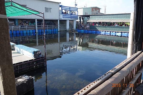 DSC04003.jpg DSC04003.jpg