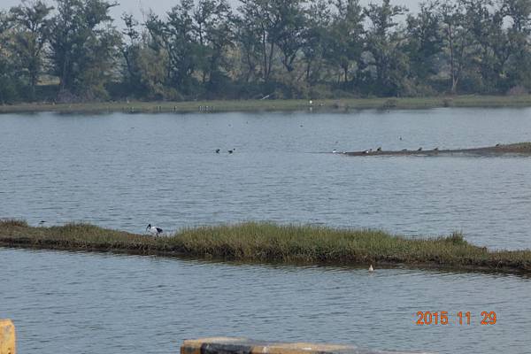 DSC04014.jpg DSC04014.jpg