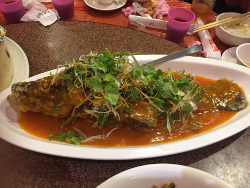 IMG_5390.jpg IMG_5390.jpg