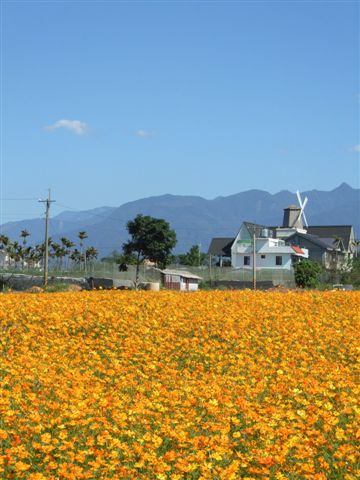 這次的花海佔地頗大，要逛完也挺累的!而且今天太陽超大= =+