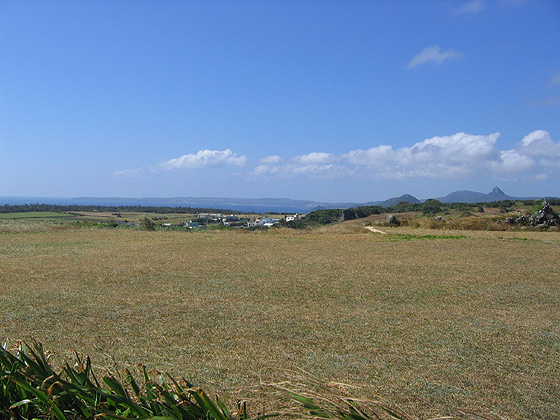 聯勤草原