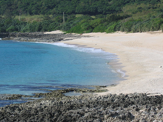 砂島的貝殼沙沙灘近拍