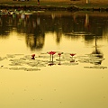 Angkor wat (12).JPG