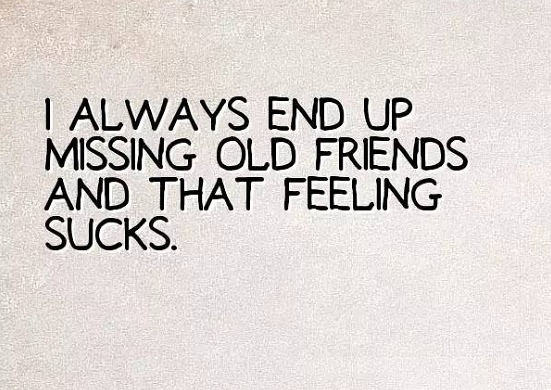 友情.jpg 友情.jpg