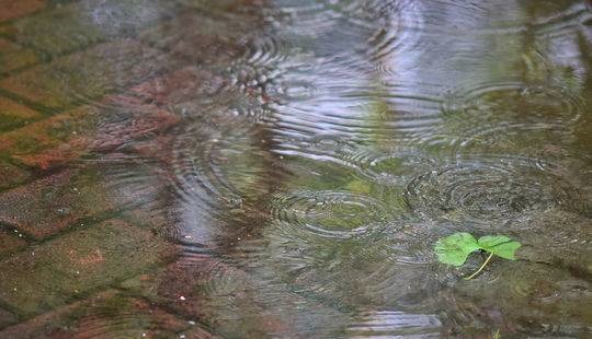 下雨.jpg